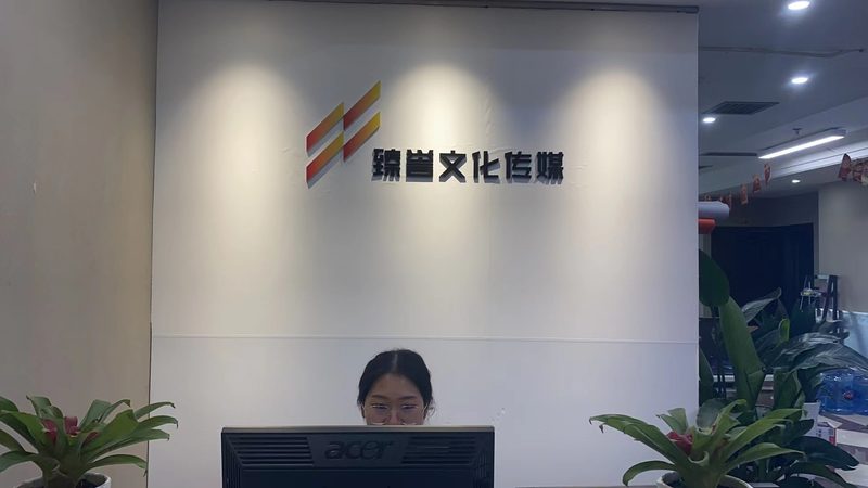 品牌策划定制服务：优缺点解析