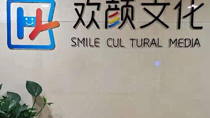 品牌设计公司案例解析：优缺点全解析