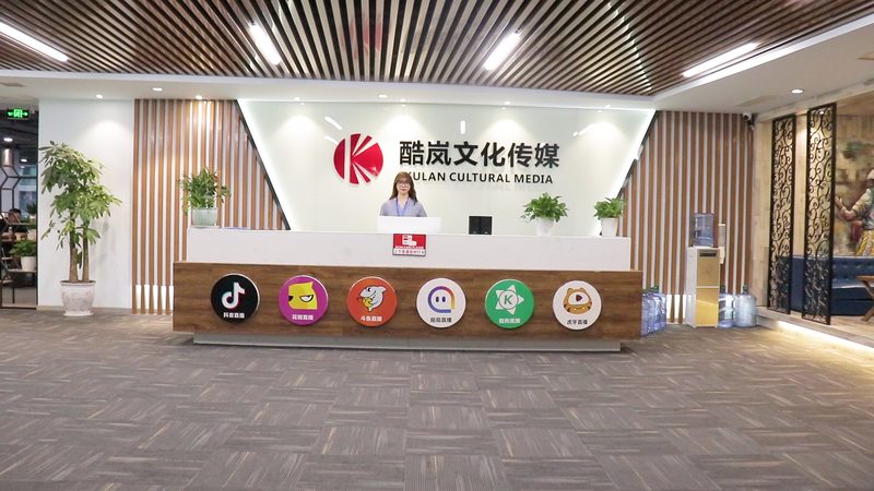 三维动画机械原理演示，揭秘报价背后的秘密**