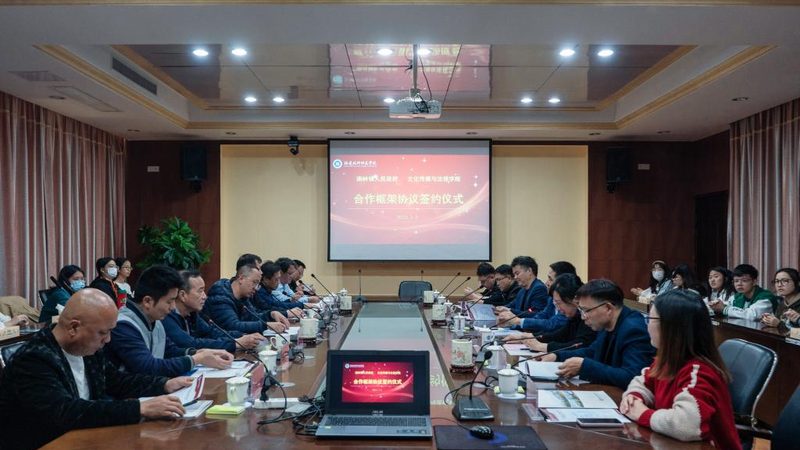文化传媒公司法人变更：风险与应对策略