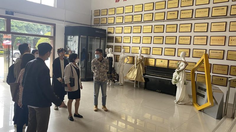 MG动画制作：价格与质量背后的秘密